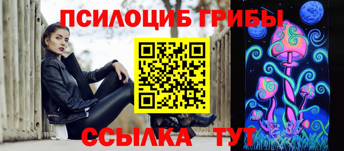 Псилоцибиновые грибы Psilocybine cubensis Хабаровск