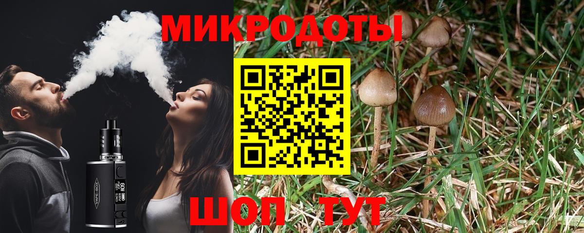 Псилоцибиновые грибы прущие грибы  Галлюциногенные грибы MAGIC MUSHROOMS  Вход с VPN  Хабаровск 